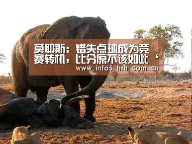 华体会官网下载