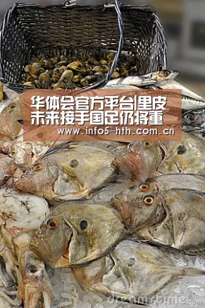华体会官方网站入口