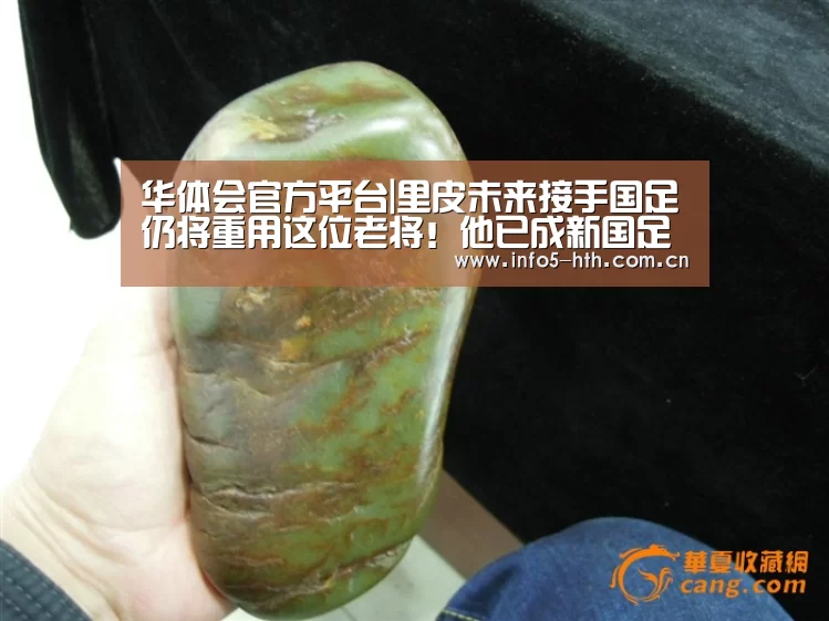 华体会官方网站入口
